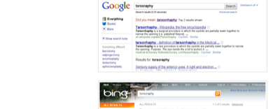 torsorophy auf google und bing