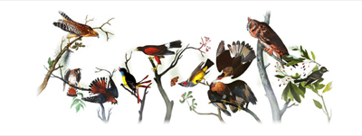 John James Audubon Doodle