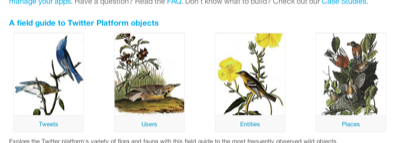 A field guide to Twitter Platform objects