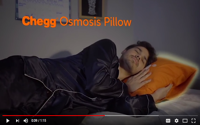 Introducing The Chegg Osmosis Pillow