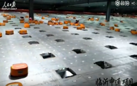 video: Robots sorting system helps