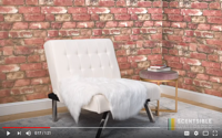 video: The First of its Kind - Scentsible Wallpaper