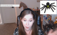 video: Spider Reviews